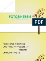 FOTOSINTESIS