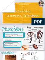 Tricocefalosis, Uncinariasis, Enterobiasis 