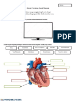 Sistem Peredaran Darah PDF