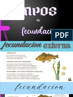 Fecundacion