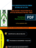 Crioconservacion de Semen Bovino de Altura: "Evaluacion Y Selección de La Aptitud Reproductiva Del Toro"