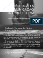 Introdução À Comunicação Intercultural