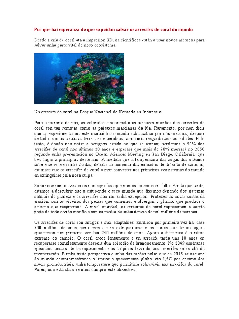 The Secret To Saving Coral Reefs A Single Powerful Statement - ysiok6q