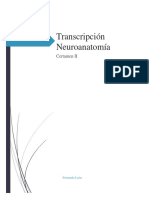 Neuroanatomía de los sistemas sensitivos generales