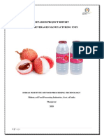 Detailed Project Report Litchi Beverages Manufacturing Unit