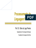 Processamento de Linguagem Natural: Prof. Dr. Silvio Do Lago Pereira