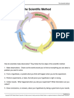 Scientific Method Visual