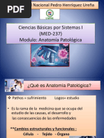 Tipos y causas de anemia: guía completa | PDF | Anemia | Glóbulo rojo