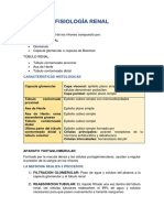 Fisiología Renal: Nefrona