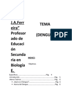 DengueDoc: Síntomas, Transmisión y Prevención