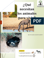 ¿Qué Necesitan Los Animales para Vivir?