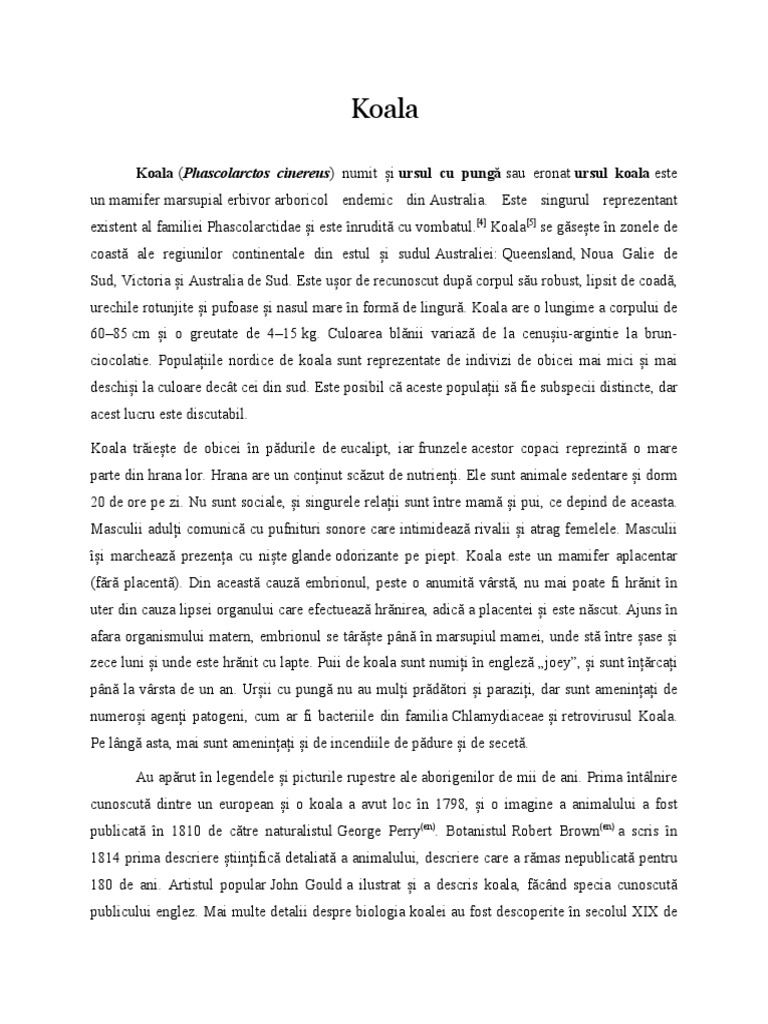 Koala | PDF