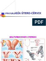 Patología Útero-Cérvix