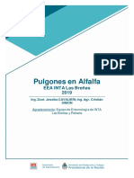 Inta Lasbrenas Pulgones Alfalfa 2019