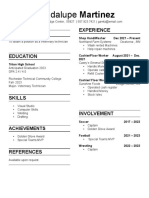 Resume Template3