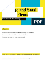 Large and Small Firms: Advantages & Disadvantages