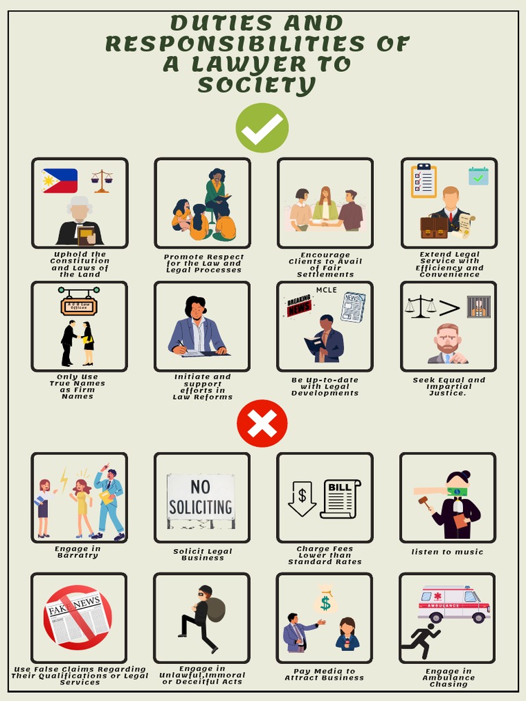 Lawyer's Roles in Society PDF