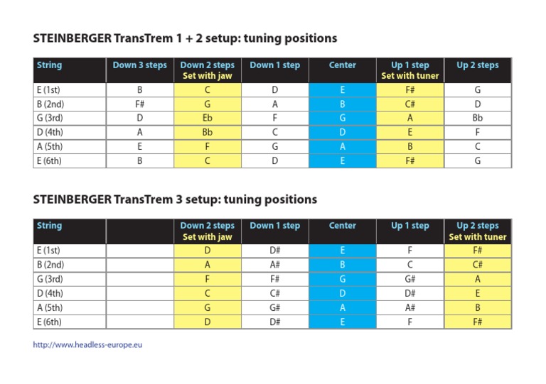 TransTrem Setup: Tuning Positions | PDF