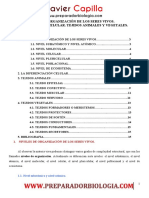 Tema 30. Niveles de Organización de Los Seres Vivos. La Diferenciación Celular. Tejidos Animales Y Vegetales