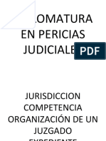 Diplomatura en Pericias Judiciales