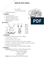 Atteinte Des Nerfs Crâniens
