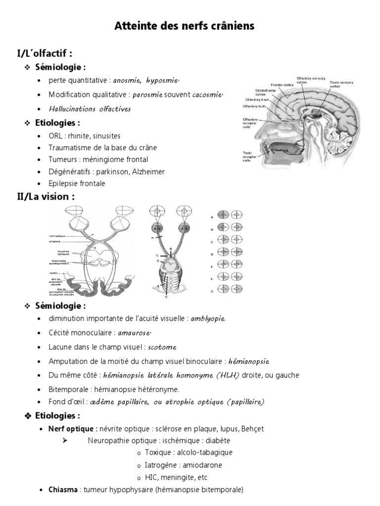 Atteinte des nerfs crâniens et symptômes | PDF | Système nerveux ...