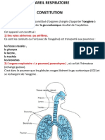 Constitution: 1) Des Voies Aériennes:ou Aérifères