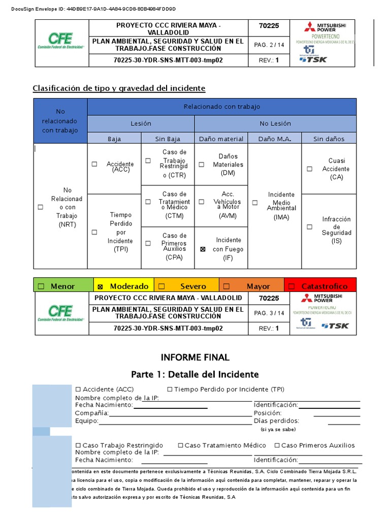 PSST Formatos | PDF
