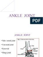 ANKLE JOINT: THE HINGE OF THE FOOT