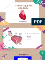 Estructura Del Corazón