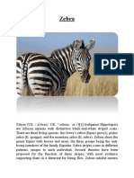 About Zebra