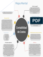 Mapa Mental Importancia de Contabilidad y Costos