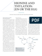 Methionine and Methylation: Chicken or The Egg