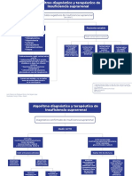 08 ADRENALES InsuficienciaSuprarrenal