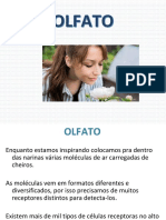 Processos Psicológicos Básicos (PPB) - Olfato + Paladar