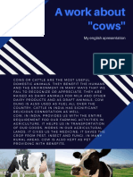 A Work About ''Cows''