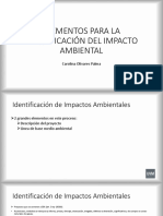 Elementos para La Identificación Del Impacto Ambiental: Carolina Olivares Palma