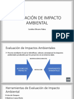 Evaluación de Impacto Ambiental: Carolina Olivares Palma