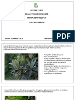 Detyre Kursi Dega:Studime Mjedisore Lenda:Dendrologji Tema:Herbarium
