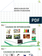 Curso Básico de Primeros Auxilios