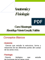 Anatomía y Fisiología: Curso Masoterapia Kinesióloga Victoria González Valdivia