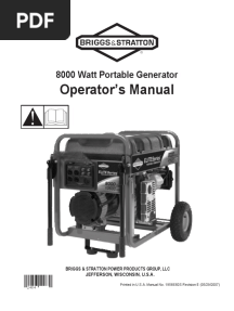 Briggs Stratton 8000 Watt Portable Generator Manual de Usuario