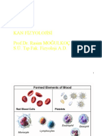 Eczacılık-Kan Fizyolojisi - 2022-2023