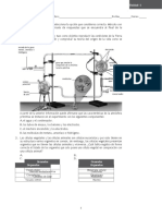 Examen 6