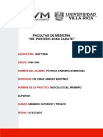 Practica 3.5 Inervacion, Irrigacion y Drenaje Del Miembro Superior