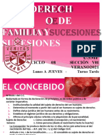 Derecho de Familia y Sucesiones Verano