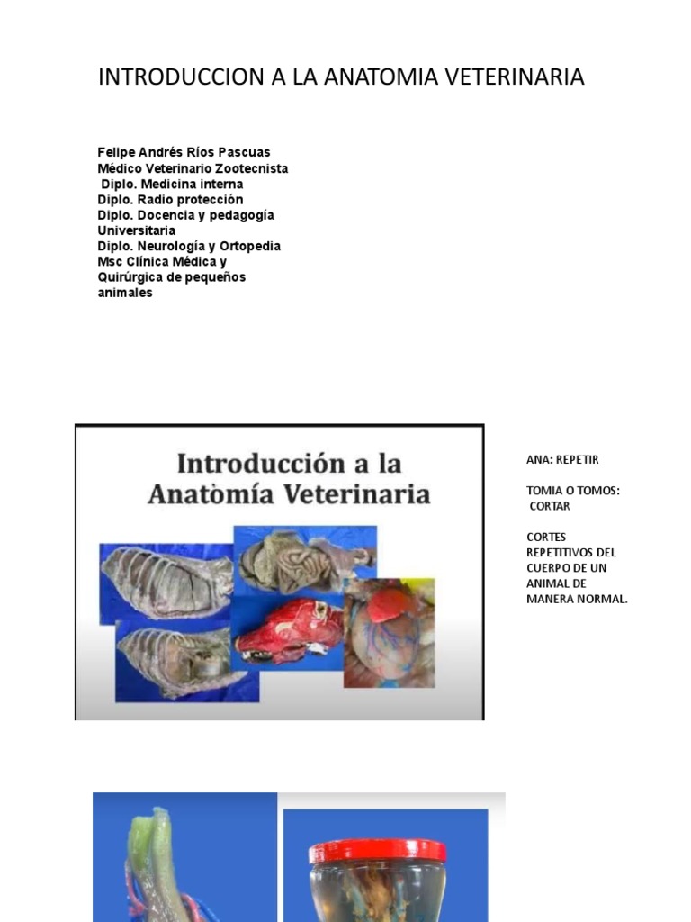 Introduccion A La Anatomia Veterinaria Pdf Salud Y Bienestar