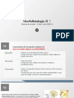 Morfofisiologia II - Material de Estudio - Primer Corte (2023-I)