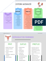 GrÃ¡fico Cuadro Comparativo Cuatro Elementos Tabla Creativo Multicolor