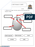 Partes Del Mouse o Ratón